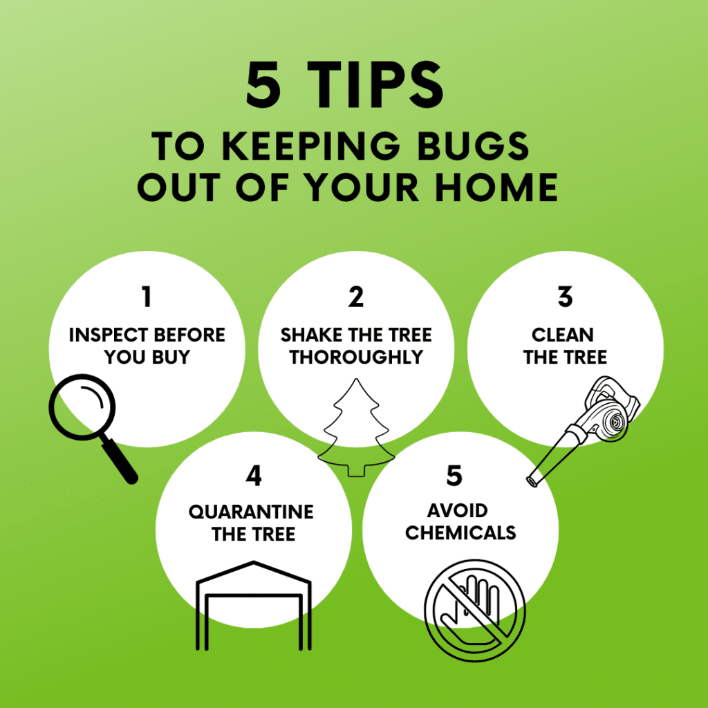 Prevention Tips: Keeping Bugs Out of Your Home