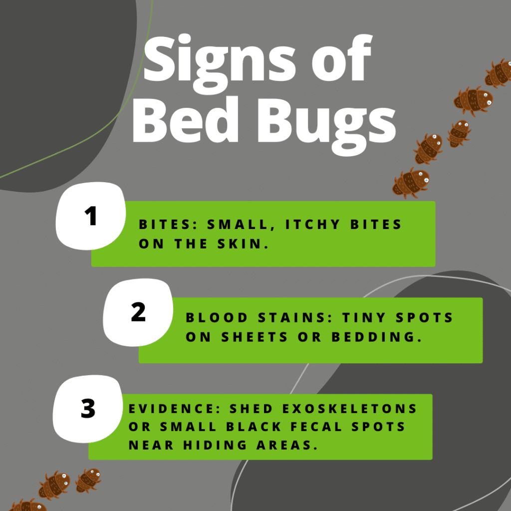 Signs of bed bugs