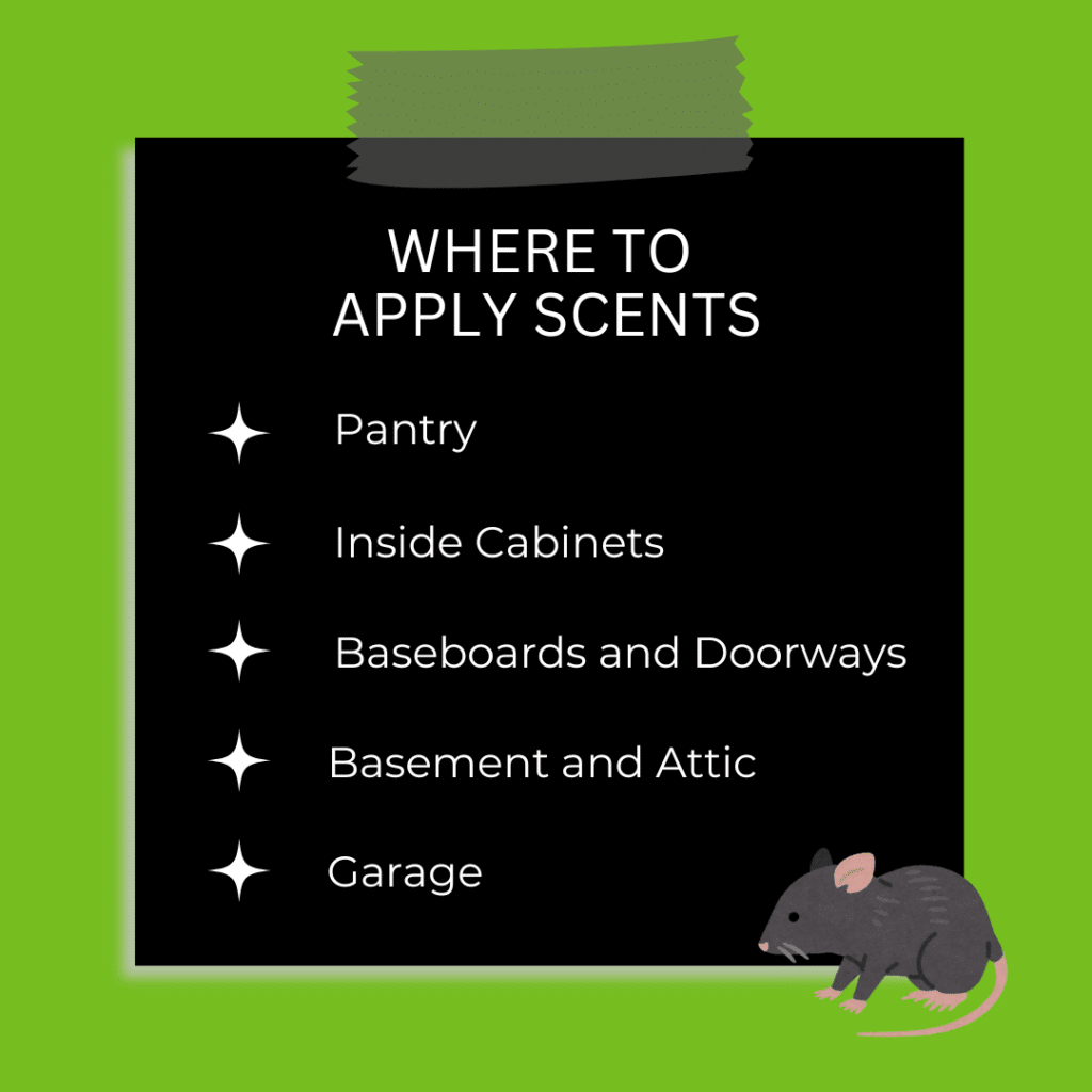 Where to Apply Scents mice hate