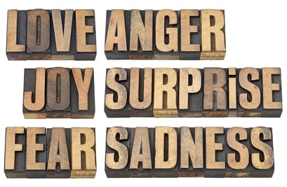 Consumer Emotions Online