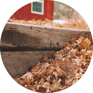 Exscape Designs Final Leaf Clean-Up and Mow