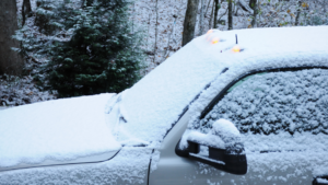 Experience in Commercial Snow Services