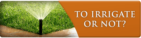 Exscape-ToIrrigateOrNot-Jul15