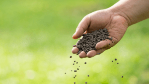 Fertilizer Calculations