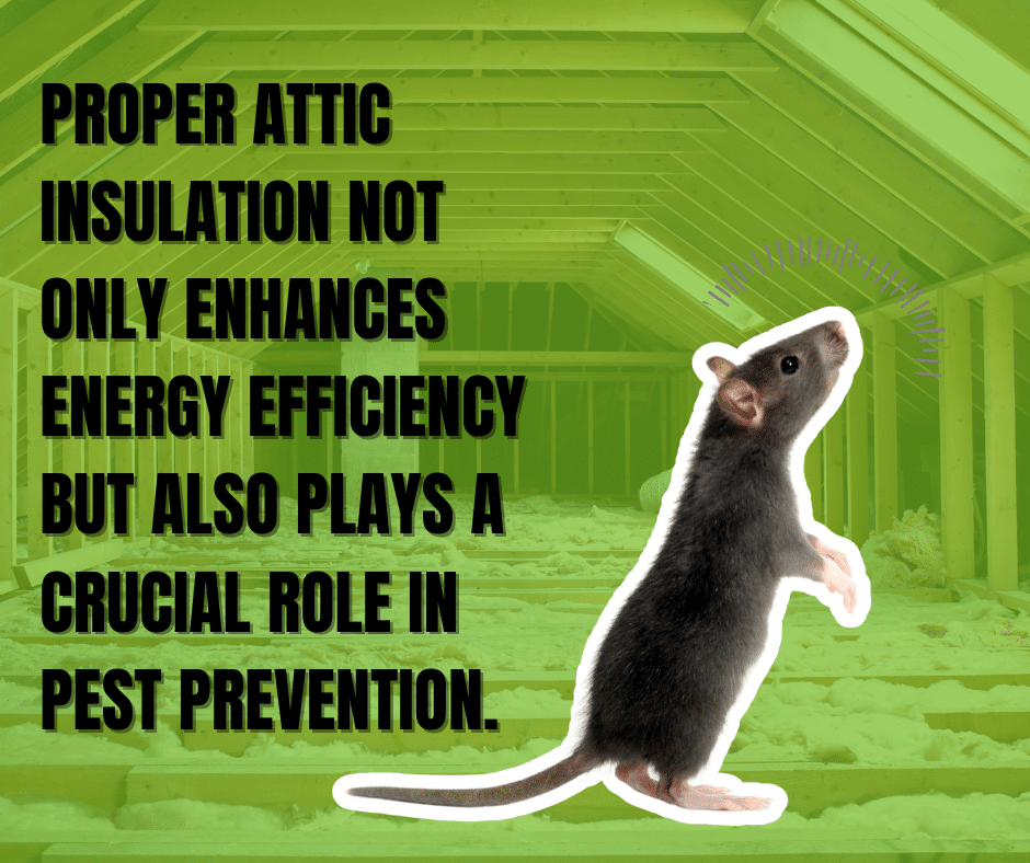 attic insulation