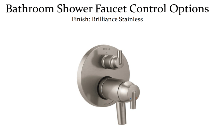 Master Bathroom Remodel - Selection Items