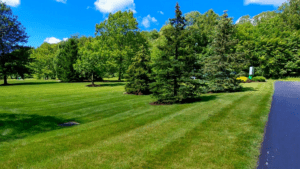 Why a Flat, One-Size-Fits-All Approach Doesn’t Work on Your Commercial Property