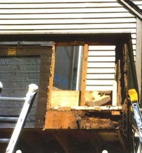 Termite Siding Damage