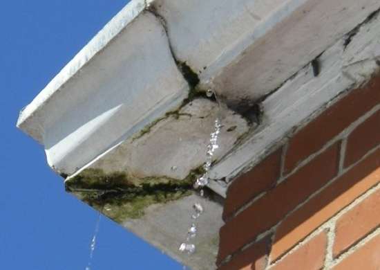 gutter maintenance