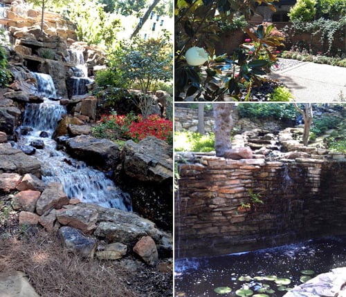 Three backyard gardens