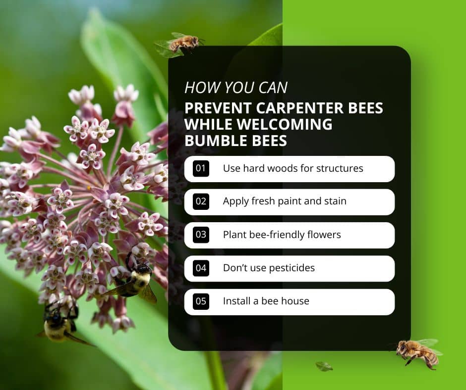 Plant bee-friendly flowers and use wood sealant to deter carpenter bees and welcome bumble bees