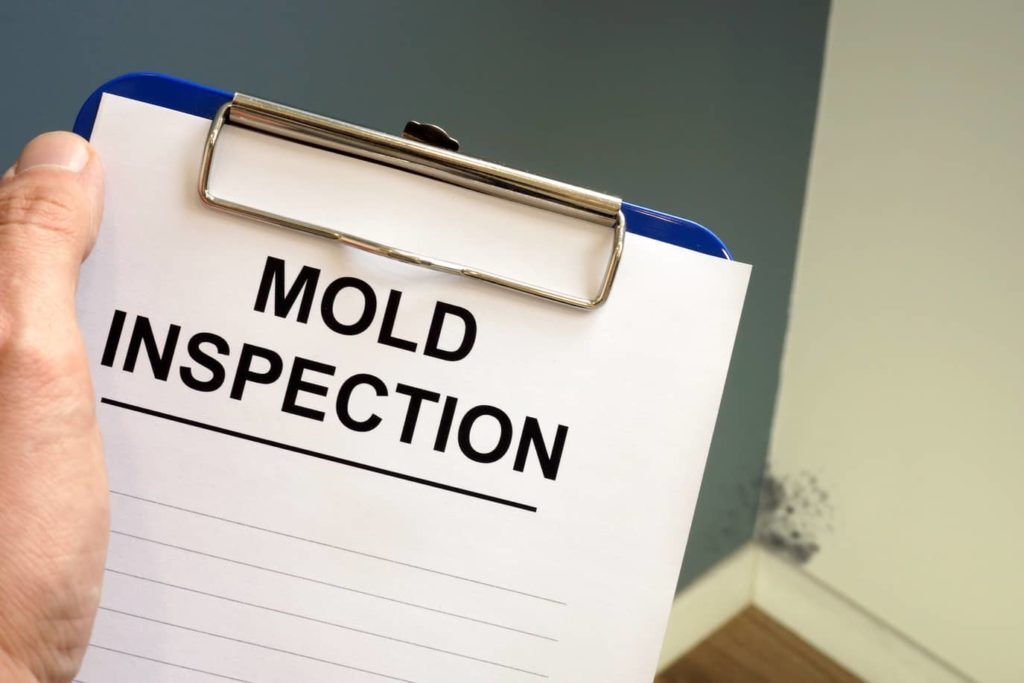 Mold inspection is necessary if you suspect mold in the home or it shows on the air sampling. 