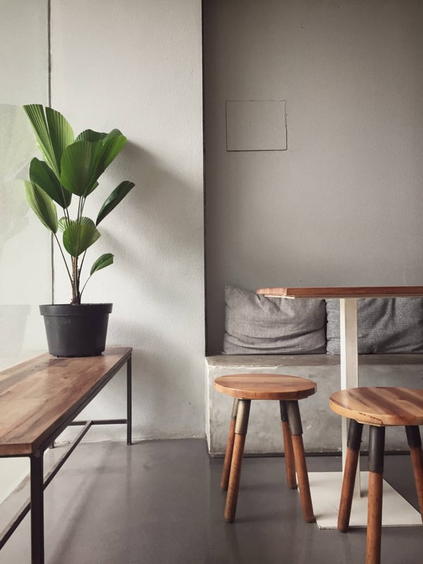 A modern minimalist house interior with an eco-lodge vibe featuring wood accents and an indoor plant.