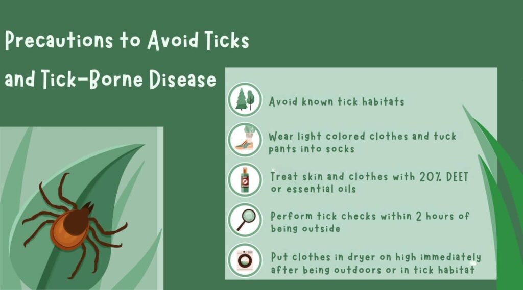 Ticks can survive for weeks or months and live in a house under the right conditions. 