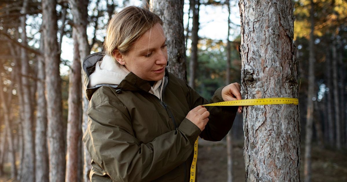 prepare trees for winter 1