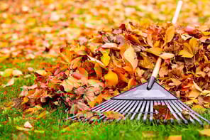 raking-leaves