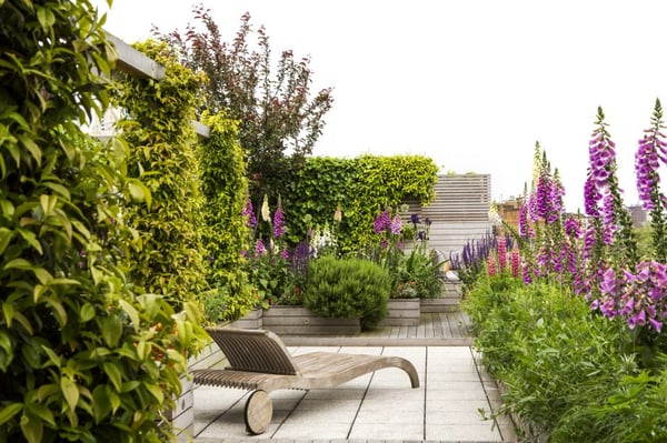 A roof garden on a rooftop deck with a lounge chair and beautiful bushes and flowers.