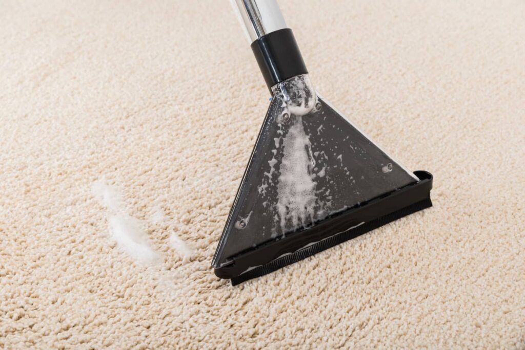 Wet vac to be used on the carpet to get rid of extra soap and stains. 