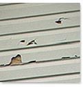 Vinyl Siding Weather Damage San Antonio, TX