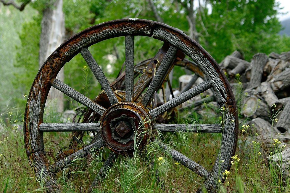 This is a picture of a wooden wheel in the grass next to a forest. On the right hand side is a stack of chopped wood. 