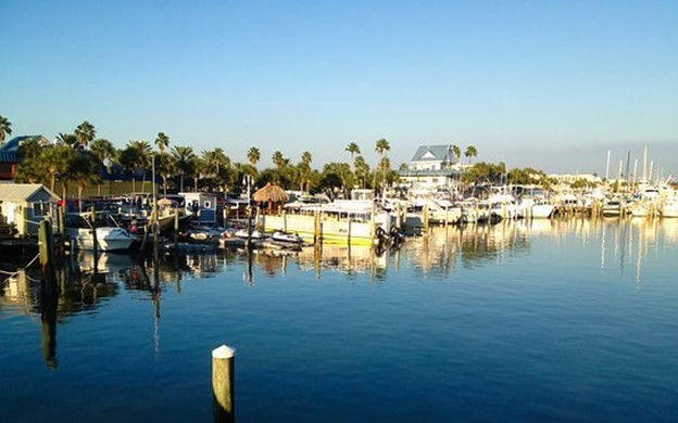 This is a picture of the coast with boats and palm trees.