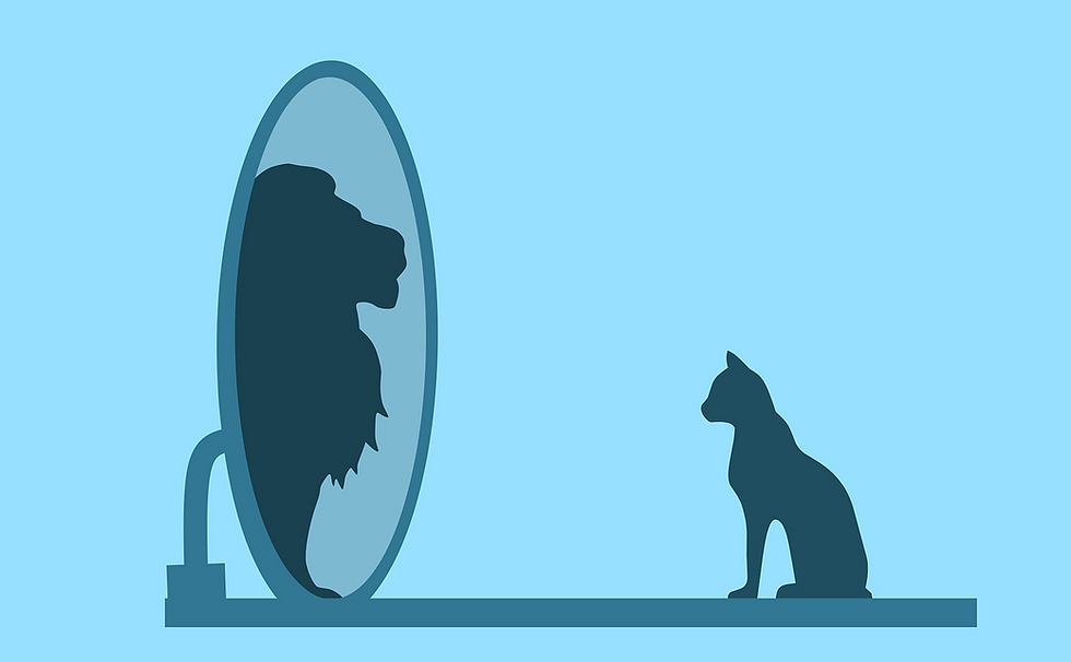 This is an illustration of a navy blue cat silhouette looking into a mirror. The illustration is against a light blue background, and reflecting back is the navy blue silhouette of a lion. 