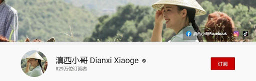 This is a picture of the homepage of Dianxi Xiaoge's YouTube channel. 