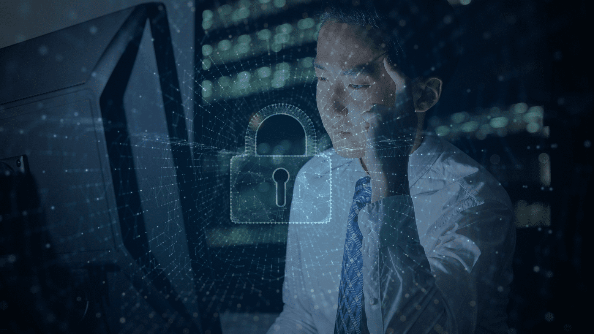 NetSuite: Overview of the Access Model