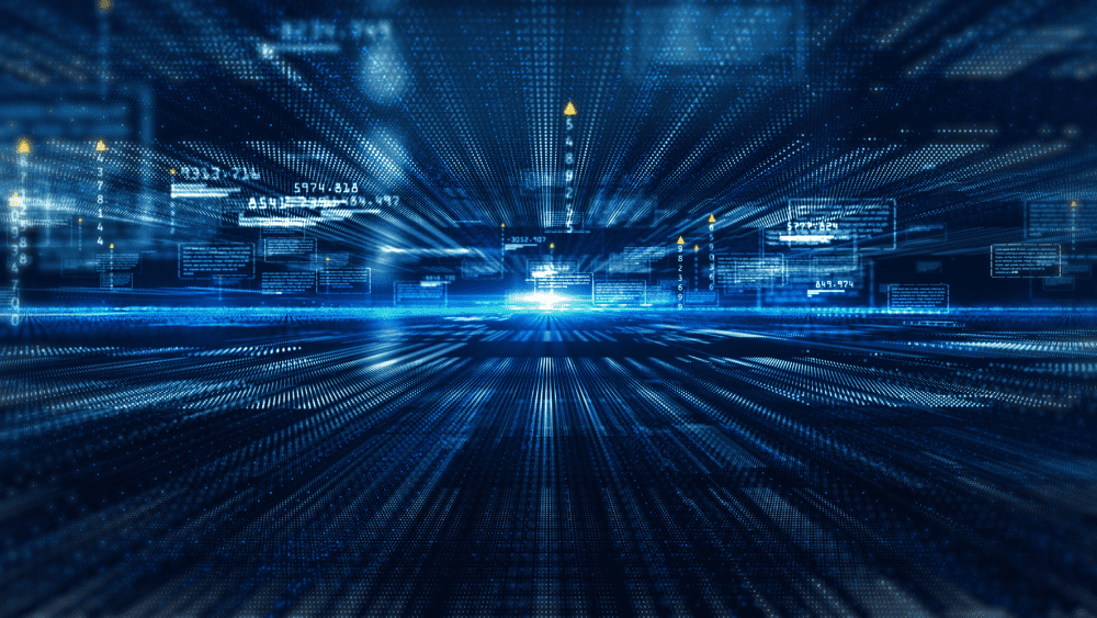 Erase with Ease: NetSuite’s Personal Information Removal Feature