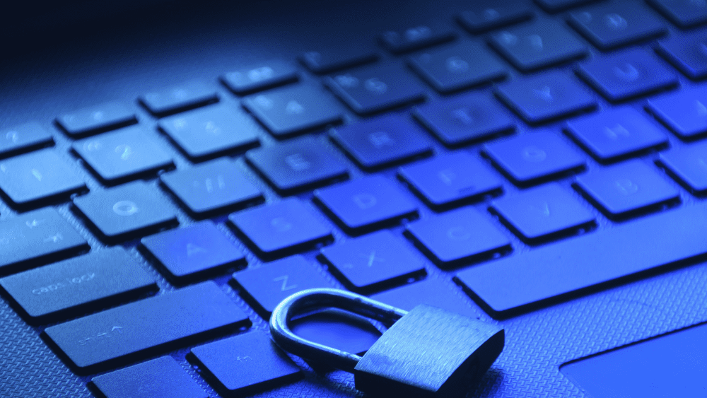 Reviewing User Access to Sensitive Data in NetSuite