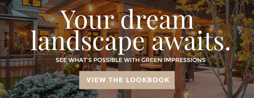 2019-Landscape-Lookbook