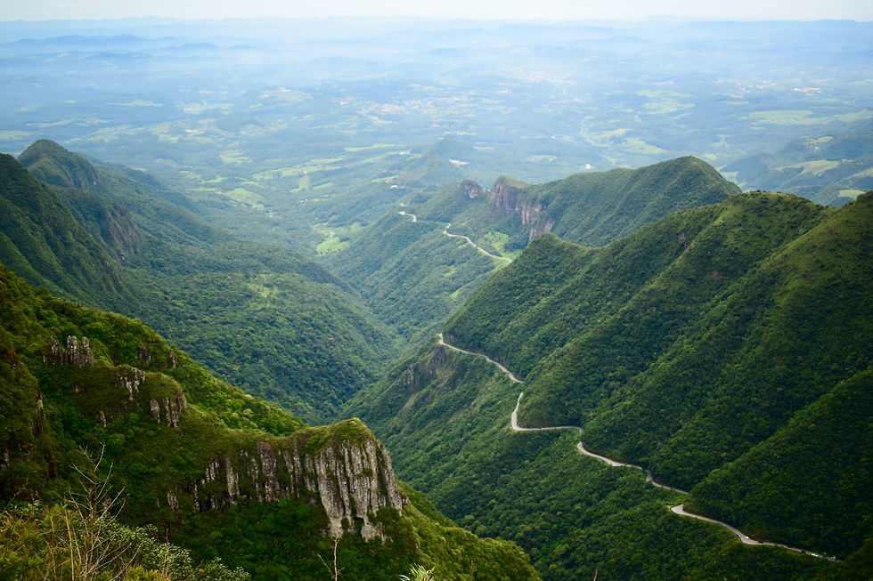 An aerial picture of a valley in the Brazilian rainforest.