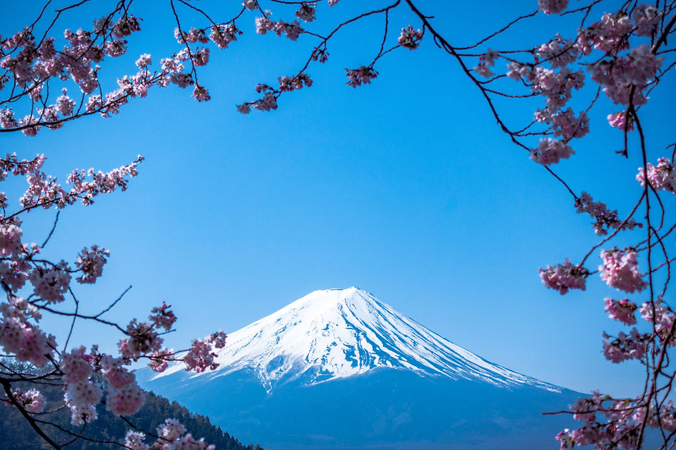 Mt Fuji, Japan