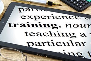IT Education and Training Initiatives for Business Customers
