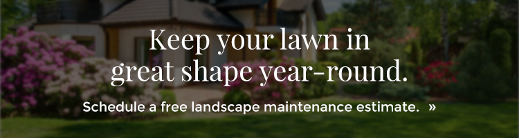 Lawn-maintenance