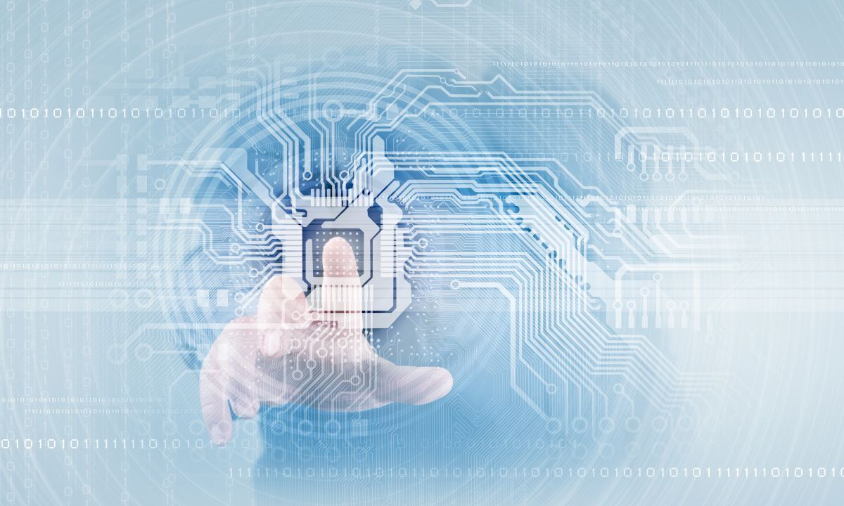 Fortifying Your Digital Fortress: Essential Network Security Strategies for Modern Businesses