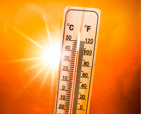 Beat the Heat: Tips for Seniors to Stay Cool During the Summer