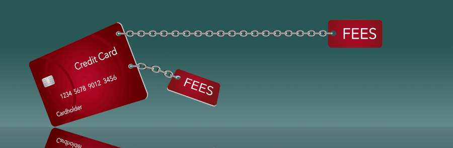The Harsh Reality of Credit Card Fees