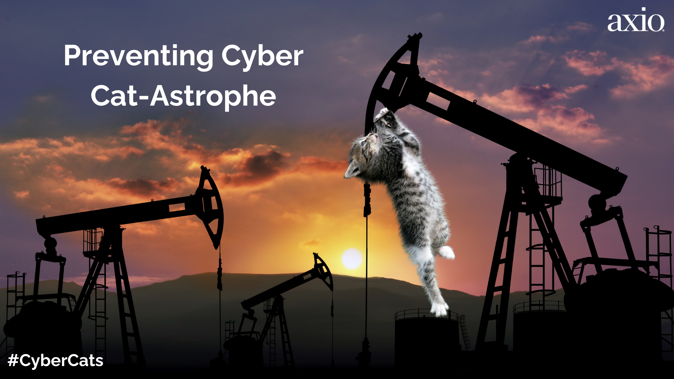 Cybercats: Prrreventing a Cyber Cat-astrophe