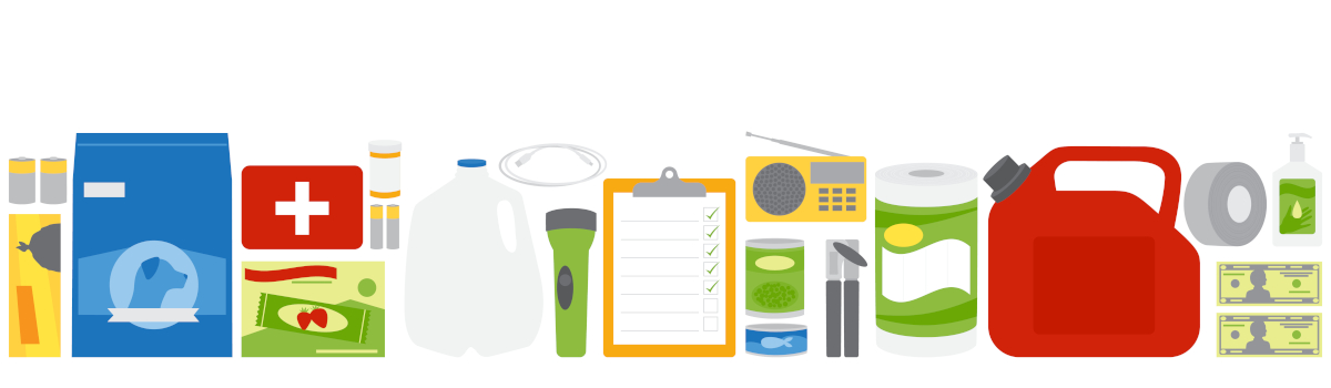 DIY Disaster Preparedness Kit: Make your own disaster preparedness kit with these essentials to keep your property and family safe