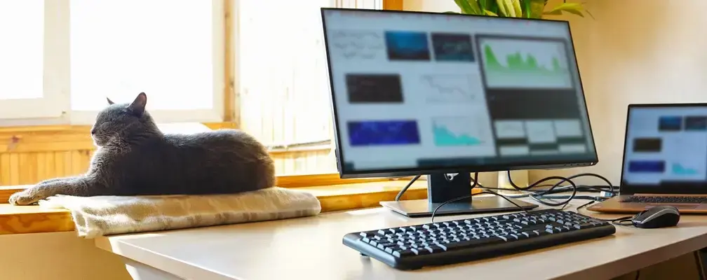 How Cloud-Based Apps Prepare Firms for Hybrid Work