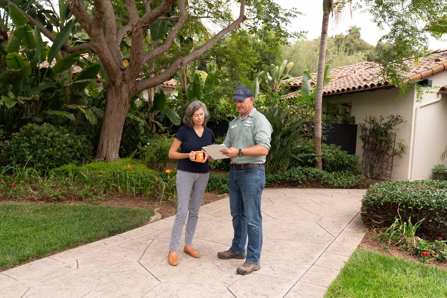 The importance of professional tree risk assessments