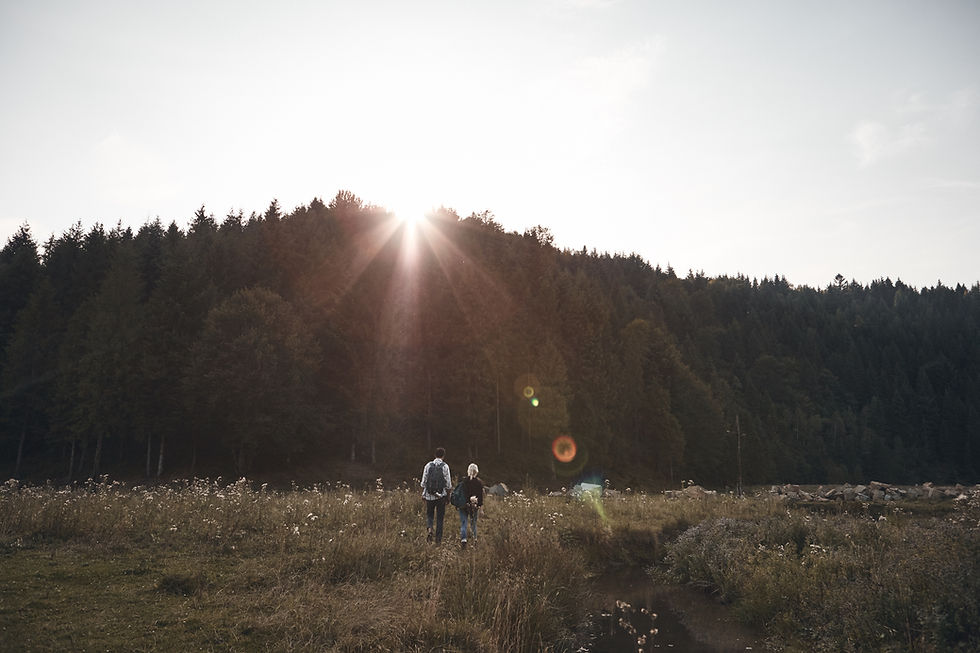 This is a picture of a couple walking towards a forest as the sun is setting. 