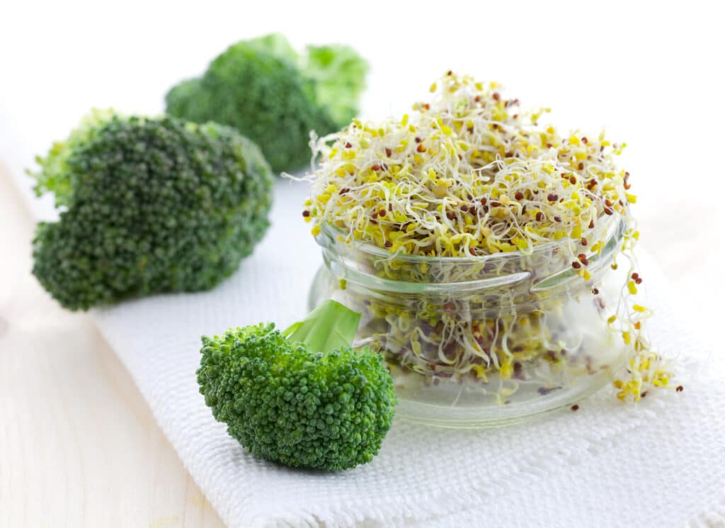 Food as Medicine: Cancer-Fighting Foods