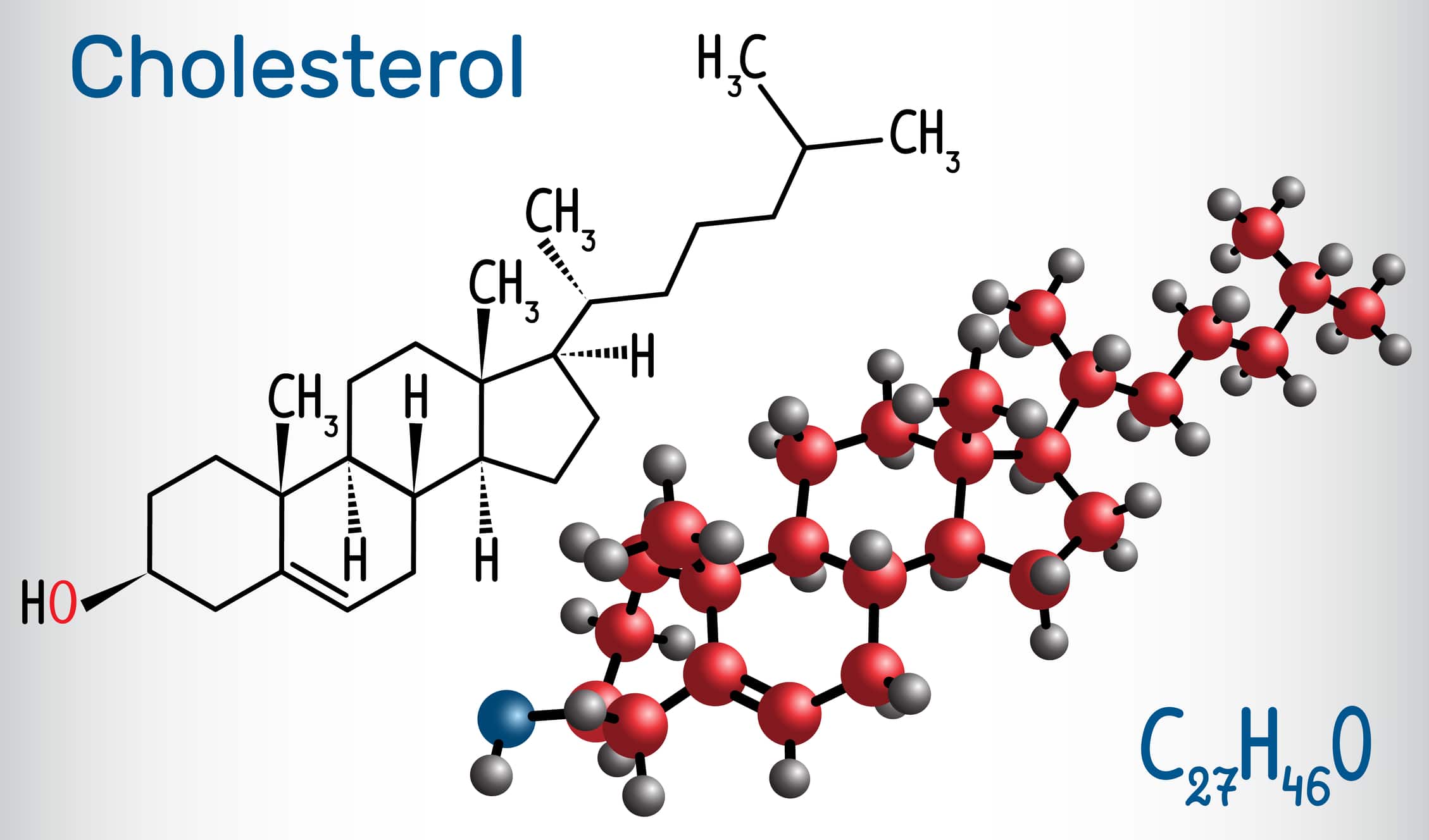 The Beauty of Cholesterol: The Most Misunderstood Molecule