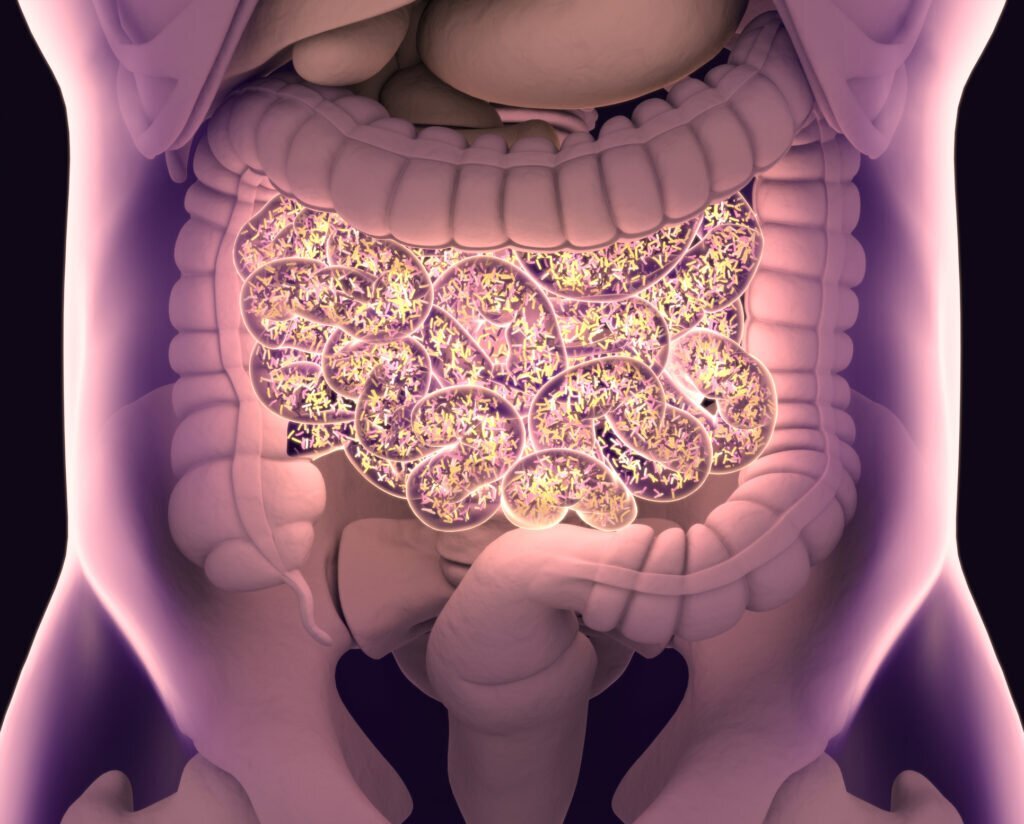 Heal Your Gut to Transform Your Health