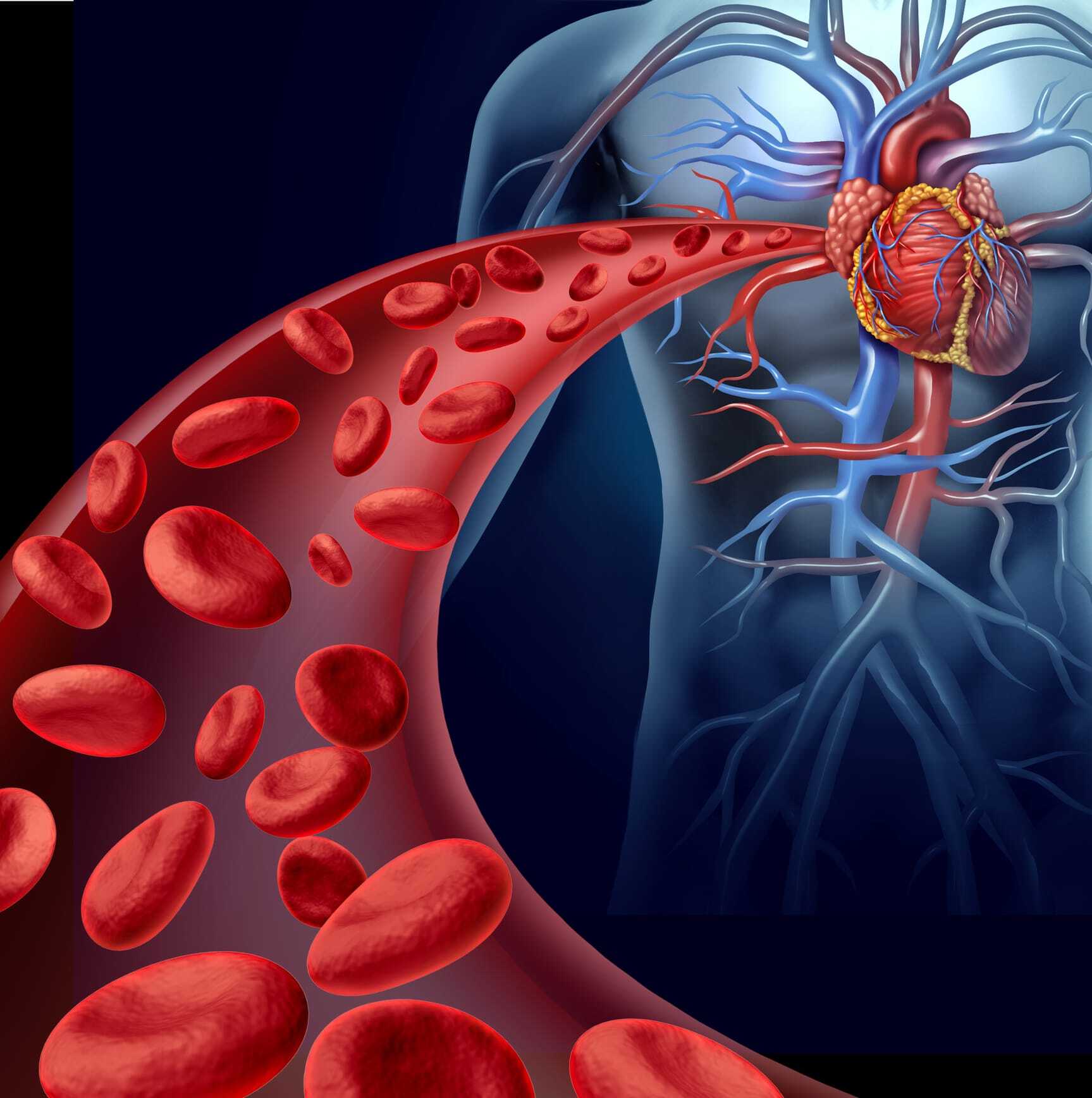 Reduce Heart Disease and Stroke Risk Naturally