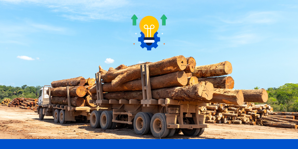 How Is Lumber Delivery Evolving in 2024?