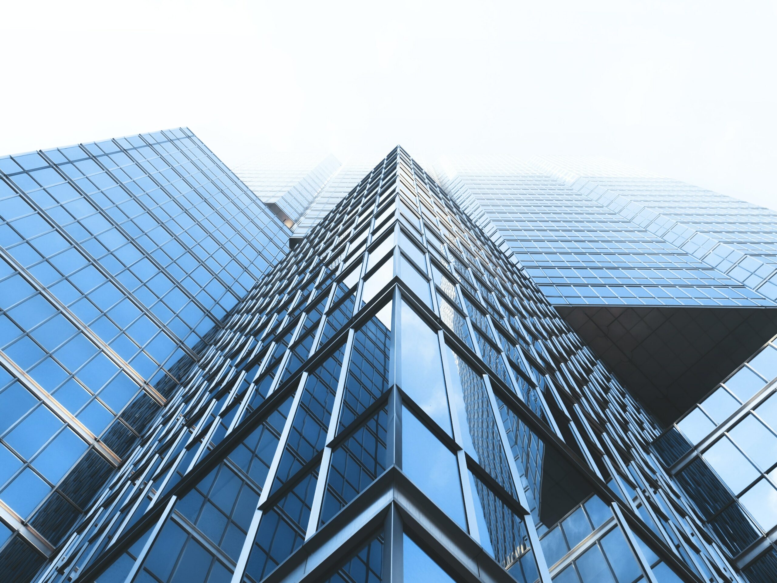 The Board of Directors and Defensible Duty of Care