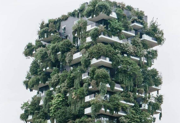 What you need to know about the new S1 and S2 ISSB Standards&nbsp;🌳